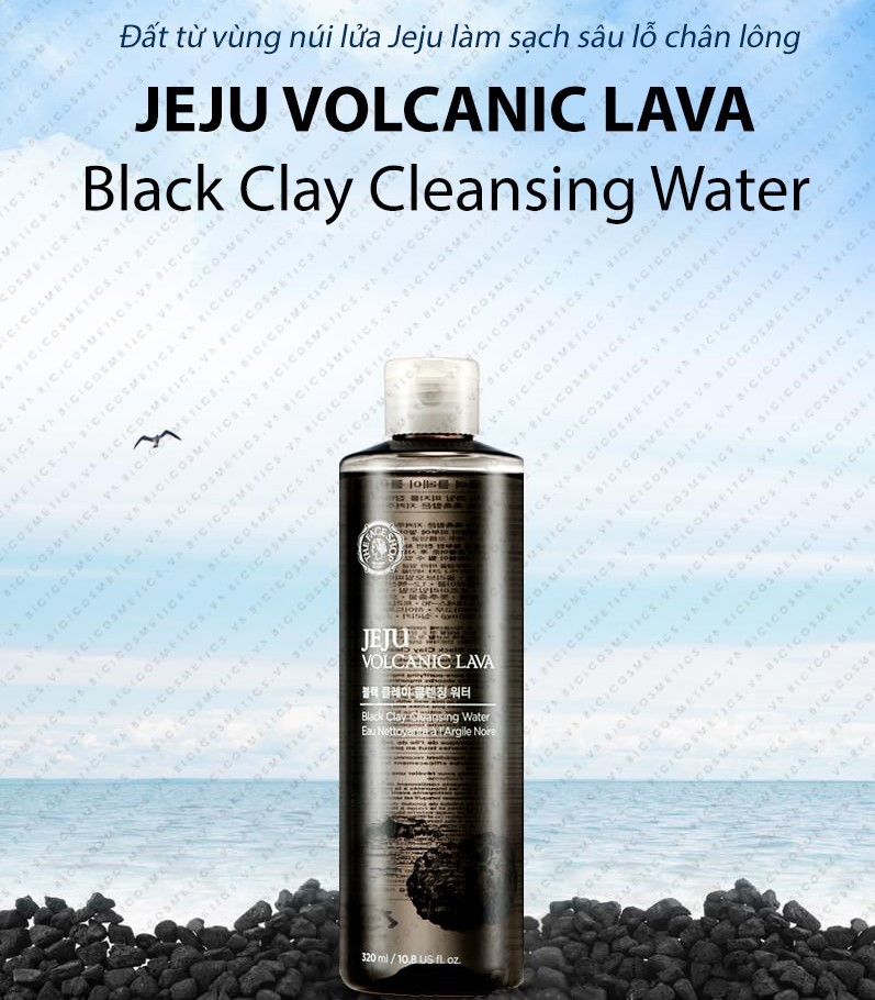 THE FACE SHOP JEJU VOLCANIC LAVA BLACK CLAY CLEANSING WATER